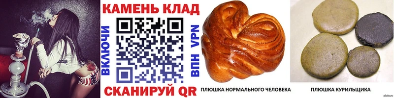 сколько стоит  сайты даркнета наркотические препараты  ГАШ VHQ  Княгинино 