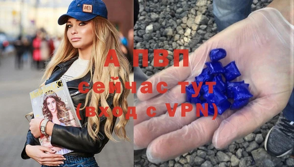 метадон Новодвинск