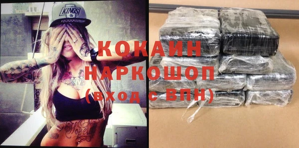 индика Нязепетровск