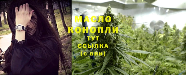 индика Нязепетровск