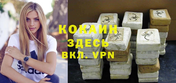 винт Няндома