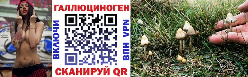 цены наркотик  OMG   Галлюциногенные грибы Magic Shrooms  Княгинино 